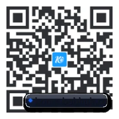 系统版 iOS 二维码